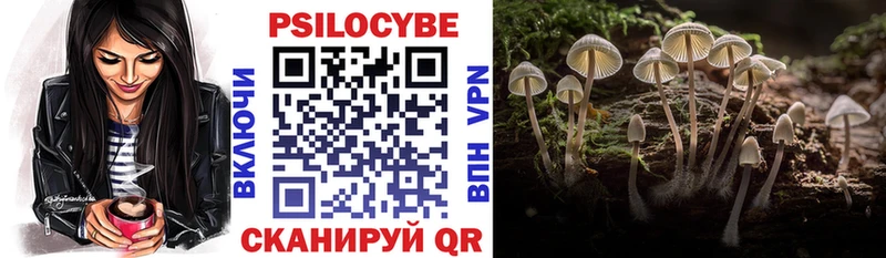 OMG как зайти  Кольчугино  Псилоцибиновые грибы Cubensis 